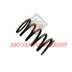 Пружина клапана внешняя VG1500050002