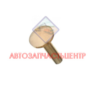 Заклёпка латунь Ф=8мм zaklepka_8